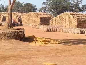 बिरकोनी समिति