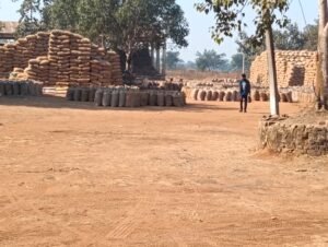 बिरकोनी समिति 